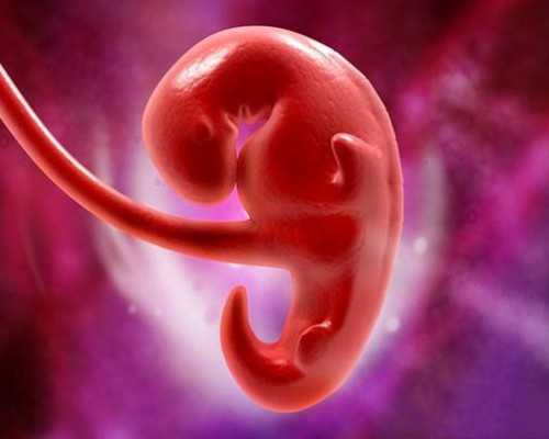 供卵囊胚质量好一次成功吗&供卵女孩体检项目,夫妻关系不和的家庭，对孩子
