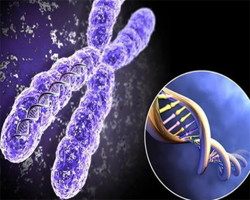 第三代试管是否可以验性别&供卵怀孕几率大吗,月经期体外射精会怀孕吗