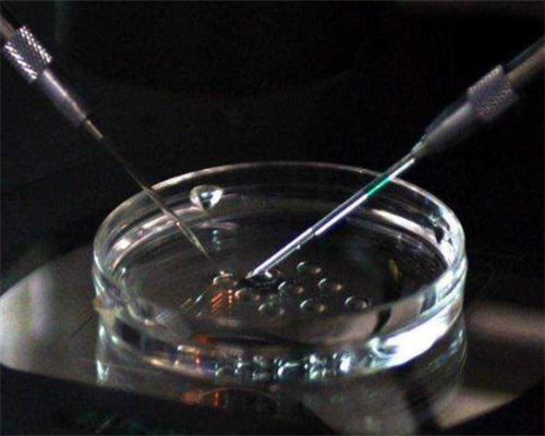 小熊过桥教案(小熊过桥节目串词)