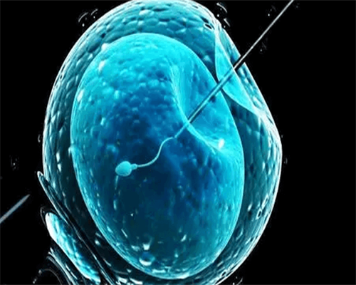 qq个性分组简单(qq个性分组简约)