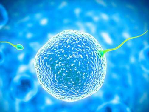 广州代怀孕公司吗,广州中山六院做试管成功率高吗？