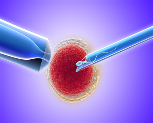 佛山试管三代怎么做,佛山供卵试管婴儿费用多少？
