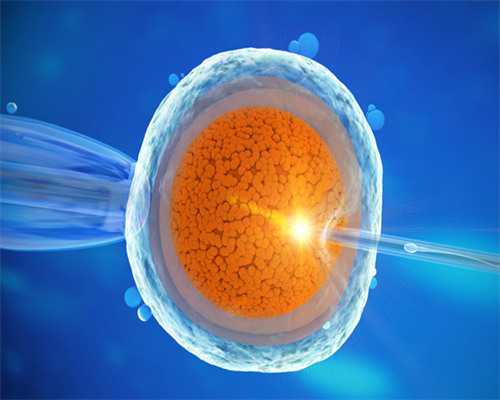 娱乐圈的婆媳关系对比分析