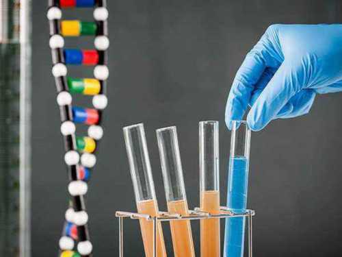 广州代怀网哪家好,香港第三代试管婴儿选性别做试管费用多少-容貌改变生男生