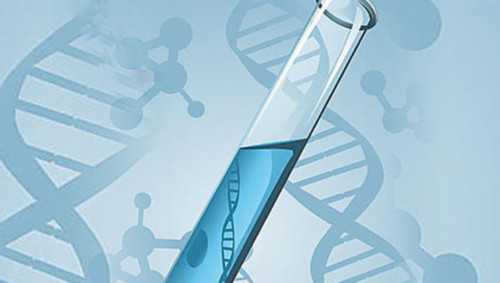 供卵代怀代生~「卵泡期几天」卵泡期是安全期吗