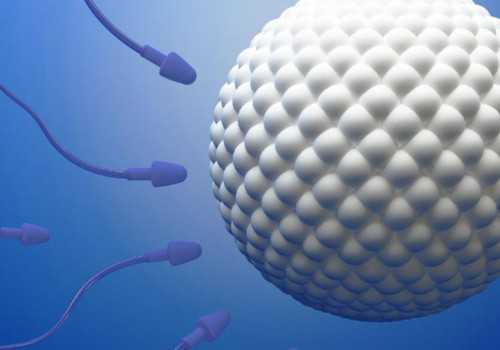 广州借卵生男孩儿,广州中山医院第三代试管多少钱？有哪些特色花销？