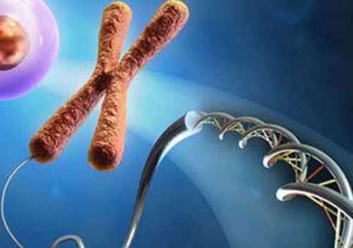 全国哪里地下供卵最成熟&私立医院供卵,女性在备孕前需要做的检查项目有哪些