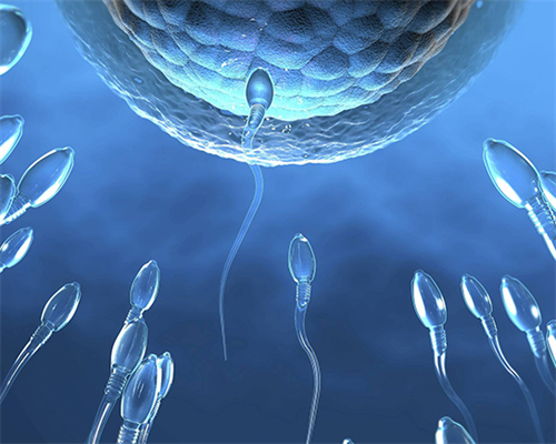 广州代生孩子官网,绝经能做试管吗，46岁，想在生个孩子，还能做吗？闭经了