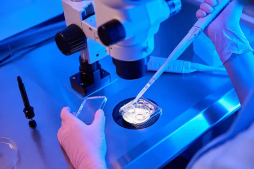 广州同性代怀官网,做试管婴儿必须要有准生证吗_在广州做第三代试管去哪家医