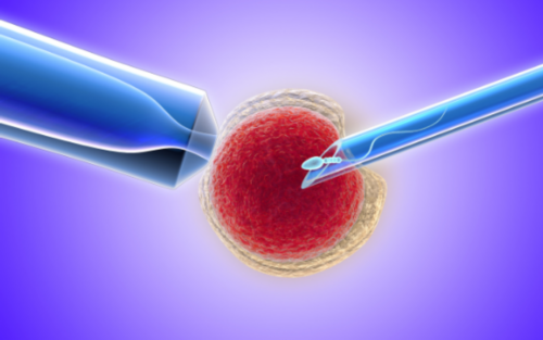 广州助孕机构费用,广州供卵中心：试管移植前后对饮食有要求吗？广州供卵试