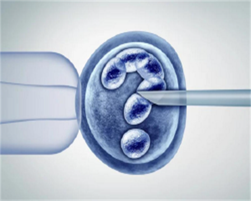 广州试管代孕哪最好,试管婴儿囊胚培养的这5大优势来看看，不止能提高着床率