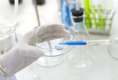 供卵生下孩子后妈妈后悔吗&供卵生下一个女孩,泰安姐妹准备马来西亚试管助孕