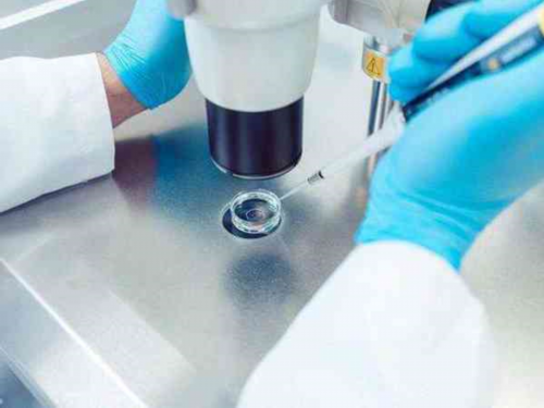 广州代生流程详解,#揭秘泰国NO.1养囊技术#【中/马/泰/俄】亚欧四国试管专家等