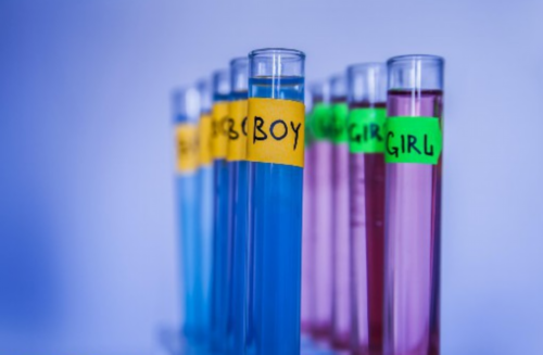 广东试管助孕机构（广东试管助孕机构排名）？广东试管成功率高的医院？