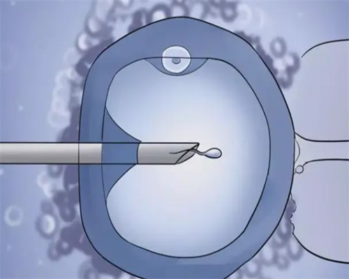 广州代怀网好公司,试管移植胚胎后，这几样食物千万不能碰！出大事！_怎么从