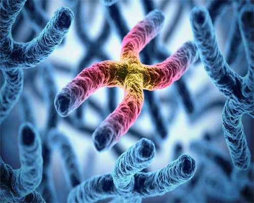 广州三代试管生男孩,广州供卵试管婴儿多少钱？