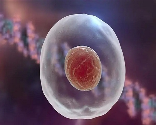 广州代生全过程,做输卵管疏通术和试管婴儿哪个危害大-上海供卵试管双胞胎