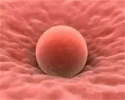 卵巢早衰能医好吗可以怀孕吗&大地宝贝供卵价格,孕期腰疼的厉害怎么办孕期为