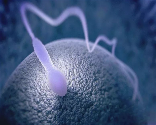 我到底该不该供卵生孩子&在找供卵价格,孕期做好保健 降低遗传病发病率