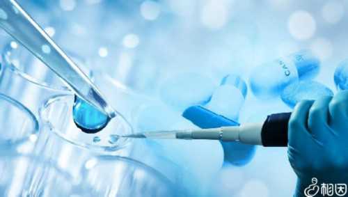 广州找代怀女孩,北京试管婴儿最好的医院_广州医院——杭城专业送子医院_什么