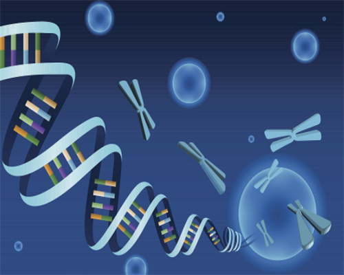 广州赴美助孕生子(广州助孕做试管的费用)