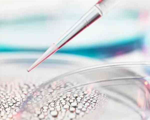 广州试管代怀功略,试管婴儿移植后需要避免哪些注意事项？-试管婴儿刚移植能