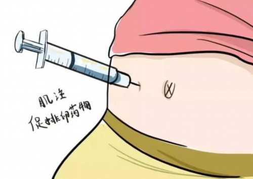 那里有靠谱的供卵试管&代孕分部,备孕半年一直没怀上怎么办？