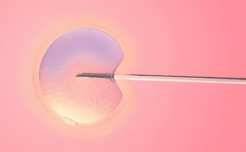 广州供卵正规代怀,广州萝岗试管医院,广州的医院