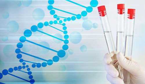 广州宛如试管,上海备孕前检查身体多少钱_上海供卵试管公司有哪些-医院开的避