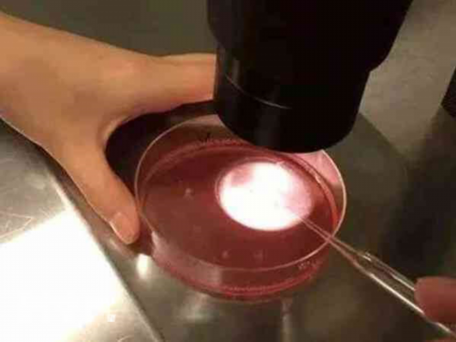 广州哪家试管医院专业？广州助孕机构排名