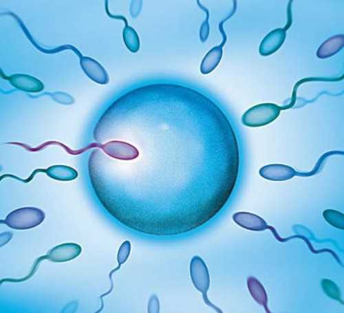 广州代怀费用高吗,广州做试管婴儿需要什么证件？2026
试管攻略_西安供卵多少