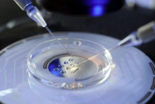 感谢刘颖中医主任 终于喜得贵子 代孕最权威医院