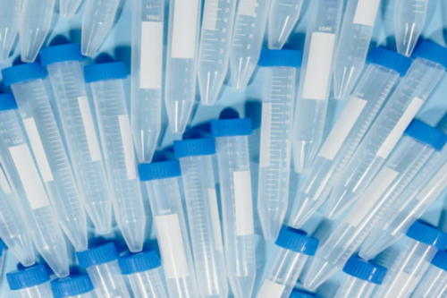 广州代生孩子服务,广州宝贝计划试管（广州助孕公司哪家好）