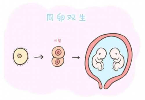 40岁做试管成功率高吗&最大的代孕结构,三岁看老？培养孩子的好性格，孕期就