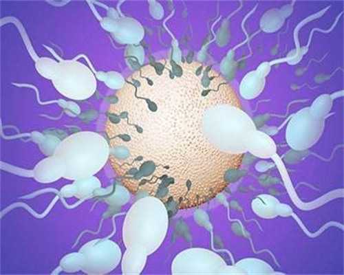 广州代怀价格贵吗,北京供卵试管多少钱？附供卵价格一览！_输卵管积水能喝西