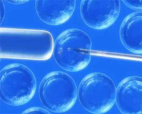 男性备孕计划：饮食调节与钡元素的重要作用