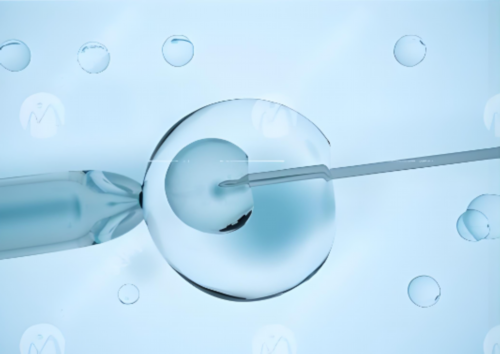 中国哪里有供卵机构&做代孕哪个医院好？,孕期各阶段饮食各有讲究，你都清楚