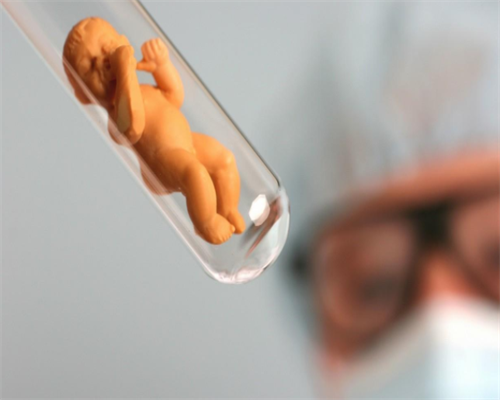 广州做供卵私立医院,广州助孕公司-广州三代试管医院