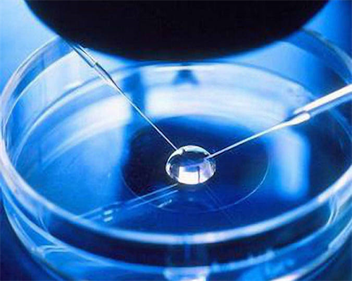 45岁卵巢衰退调理经验&供卵助孕包成功,2026上海供卵试管多少钱？附2026上海供卵