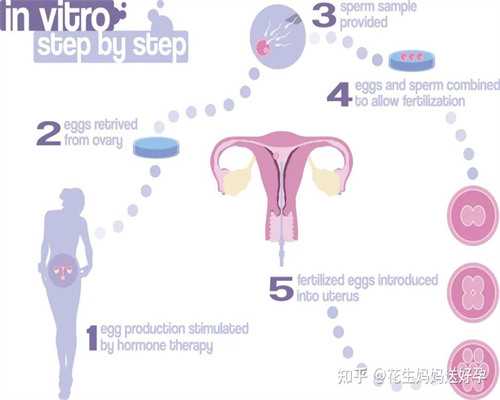 供卵助孕的基本原则&绝经供卵试管成功率,2026菏泽市中医医院试管婴儿成功率一