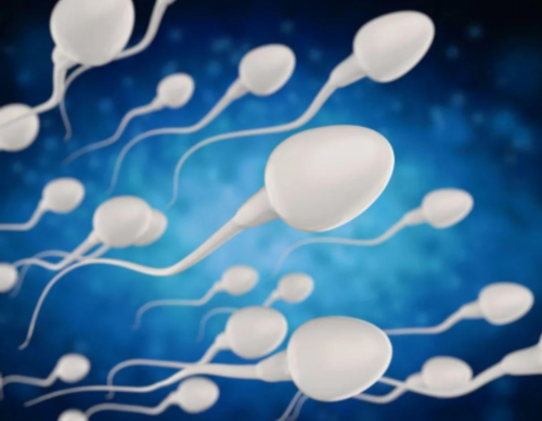 供卵助孕服务~[HCG翻倍作用]促进健康生殖系统