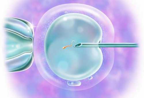 广州供卵哪个医院,试管过程中b超监测卵泡多少钱-上海世纪助孕公司靠谱吗-男