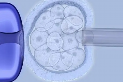 amh0.24做试管成功率&供卵是不是三代试管,孕期如何自查异常情况