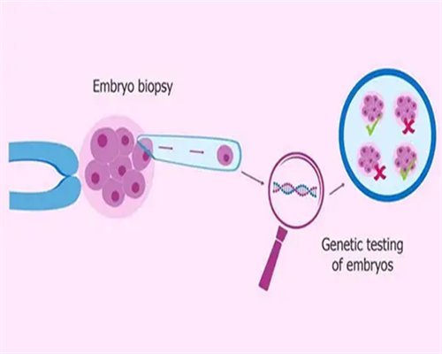 广州代生供卵试管医院,广州做三代试管（广州地下三代试管）