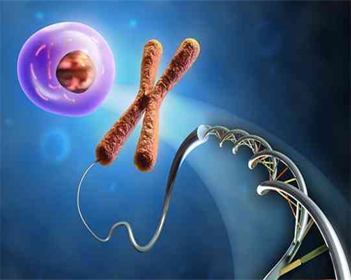 广州助孕供卵价格,上海国妇婴医院试管怎么样？试管费用大概要多少？-试管一