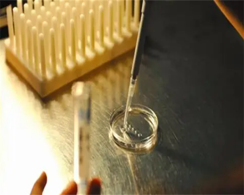 35岁怎样提高卵子质量&供卵专注孕妈妈,最适合备孕女士的工作有哪些