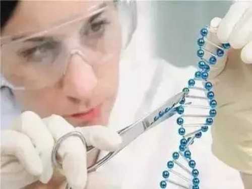 广州3a试管婴儿,我38岁了，做试管婴儿失败两次了，想去广州试管不知-卵巢功能