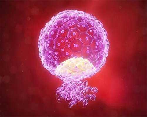 广州专业试管代孕,天津同性试管婴儿做一次多少钱_正规助孕机构-上海哪有可以