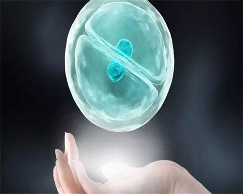 三排瘦身法是真的吗_三排瘦身法全面解析：科学原理、实操指南与食谱推荐！