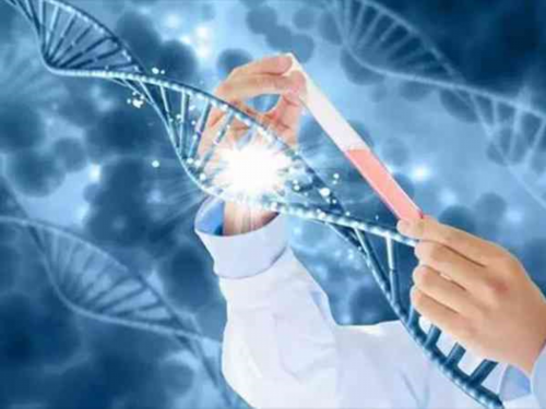 广州供卵成功率,广州家泽试管怎么样_广州口腔科最好的医院